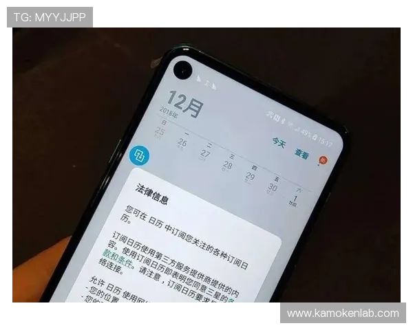 开云体育网页版入口评价:全面解析平台安全性与用户体验的真实反馈